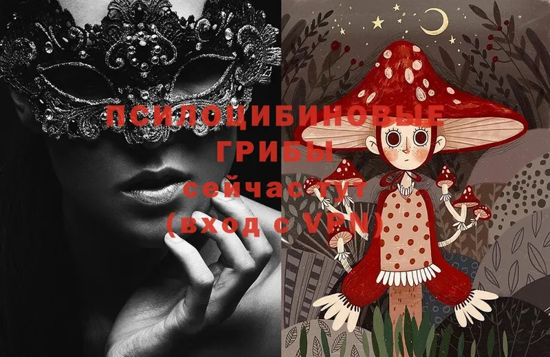 Галлюциногенные грибы Magic Shrooms Абинск